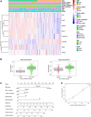 Identifying Differential Expression Genes and Prognostic Signature Based on Subventricular Zone Involved Glioblastoma